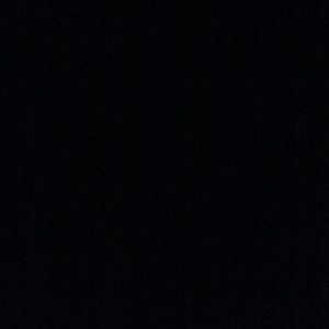 Meet your Posher, Jackson